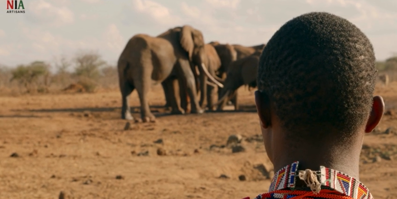 🌍 Perché NIA Artisans ?